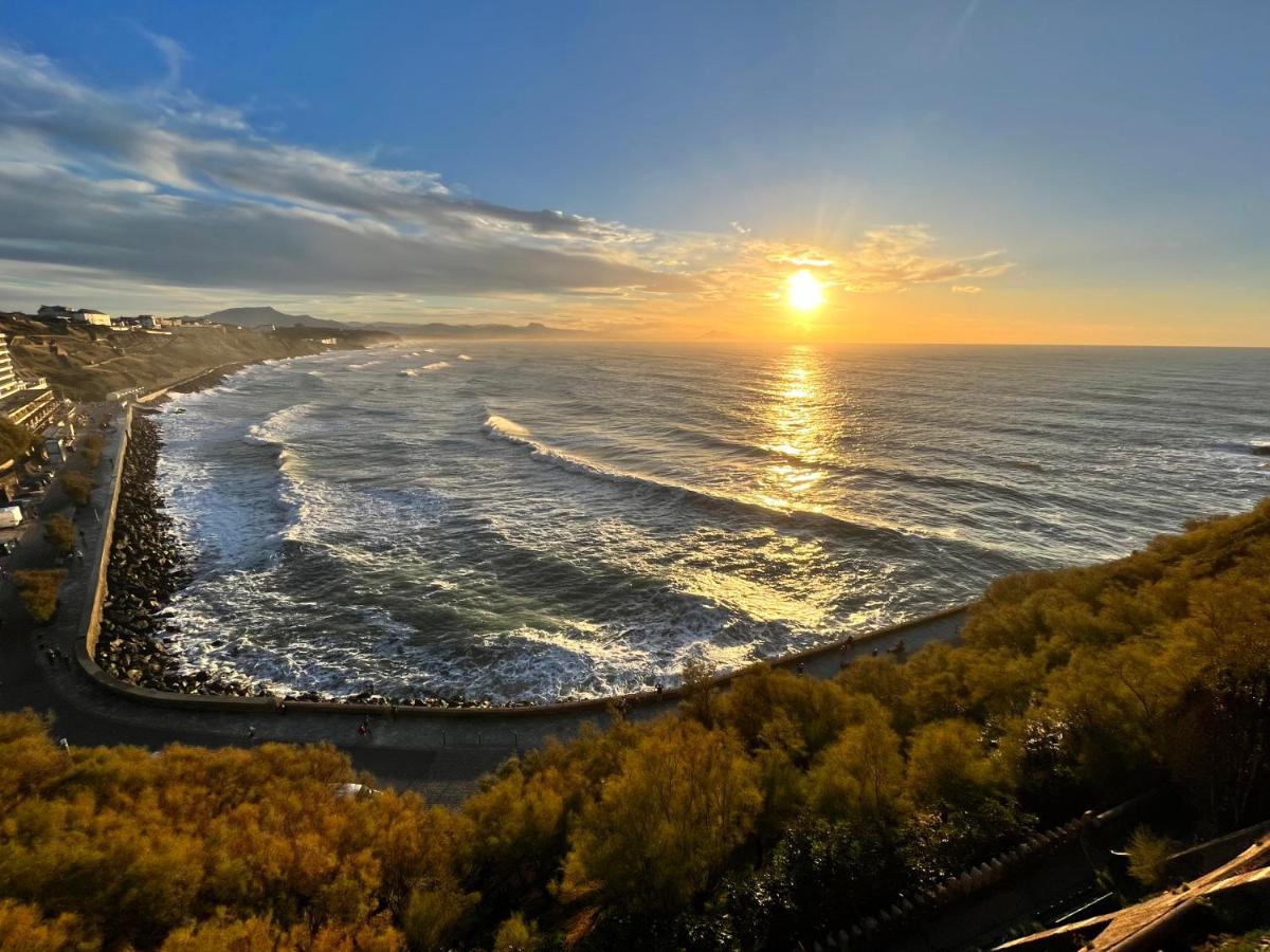 Ecrin De Verdure Entre Foret Et Ocean Saint-Martin-de-Seignanx Dış mekan fotoğraf